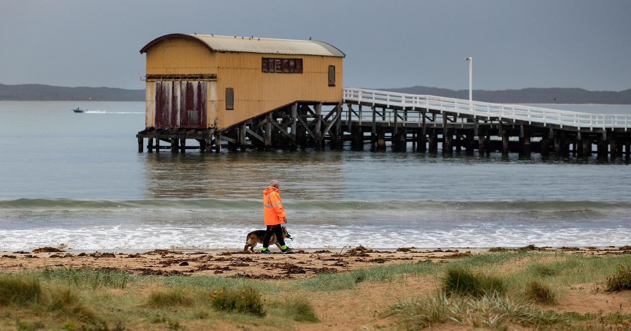 queenscliff, boat shed, walk-3968929.jpg