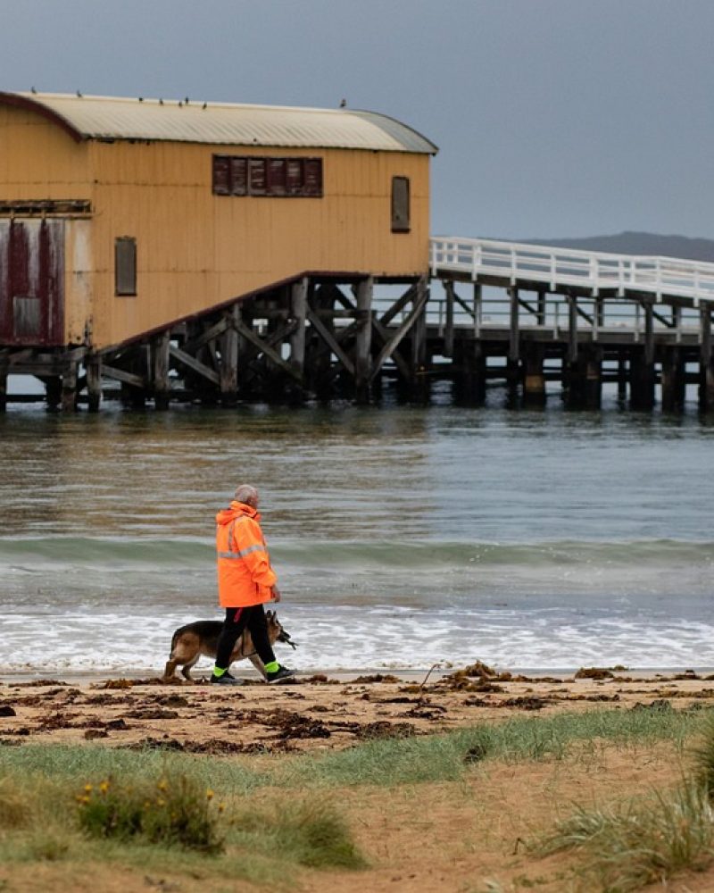 queenscliff, boat shed, walk-3968929.jpg